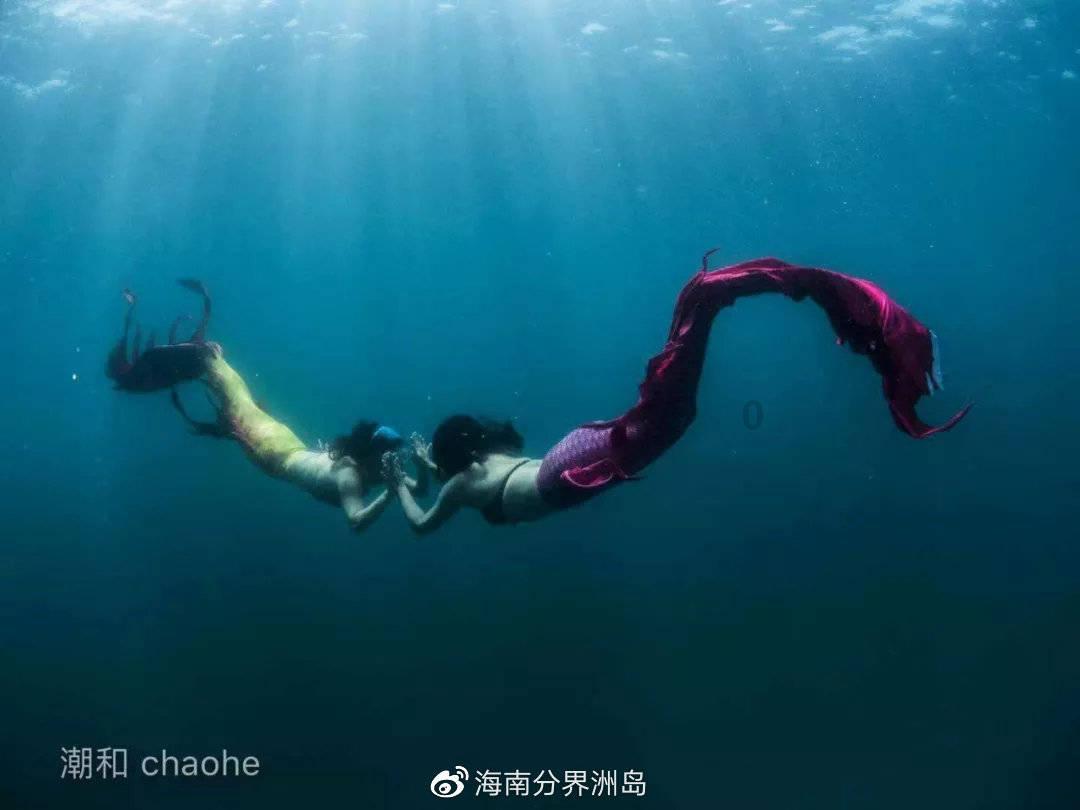 探索知识星球平台,加入计算机病毒是生产计算机硬件时不注意产生的获取更多知识分享